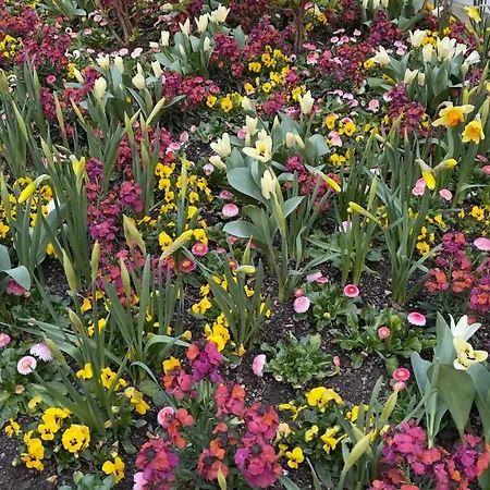 Rosmarin - Kuschelige - Romantik & Entspannung Im Whirlpool Auf Privater Terrasse, Ruhe & Hund Willkommen - By Ferienwohnenamsee - Apartmán Uberlingen