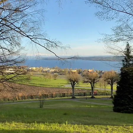 Apartmán Rosmarin - Kuschelige - Romantik & Entspannung Im Whirlpool Auf Privater Terrasse, Ruhe & Hund Willkommen - By Ferienwohnenamsee - Uberlingen