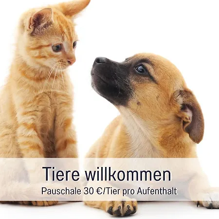 Apartment Rosmarin - Kuschelige - Romantik & Entspannung Im Whirlpool Auf Privater Terrasse, Ruhe & Hund Willkommen - By Ferienwohnenamsee - *