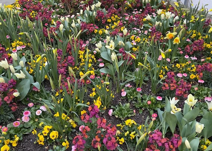 Rosmarin - Kuschelige - Romantik & Entspannung Im Whirlpool Auf Privater Terrasse, Ruhe & Hund Willkommen - By Ferienwohnenamsee - Апартаменты Иберлинген