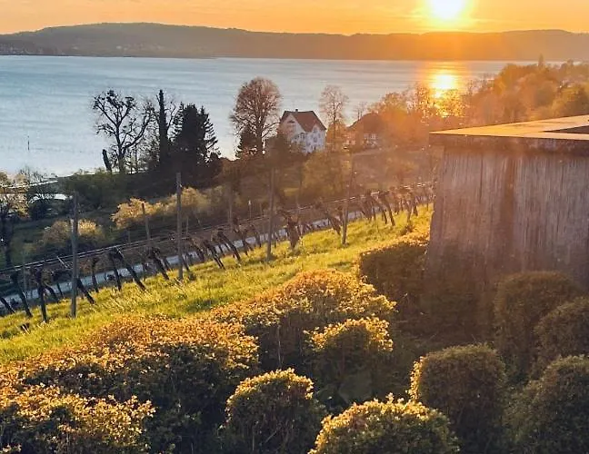 Апартаменты Rosmarin - Kuschelige - Romantik & Entspannung Im Whirlpool Auf Privater Terrasse, Ruhe & Hund Willkommen - By Ferienwohnenamsee -