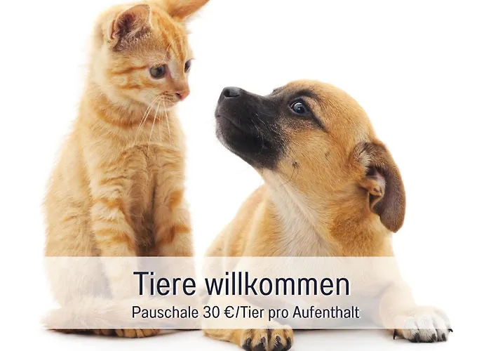 Апартаменты Rosmarin - Kuschelige - Romantik & Entspannung Im Whirlpool Auf Privater Terrasse, Ruhe & Hund Willkommen - By Ferienwohnenamsee - *